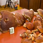Piotr