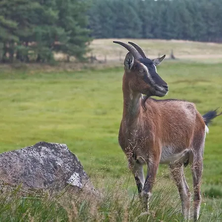 Piotr בית חווה *