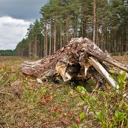 בית חווה Piotr Sominy