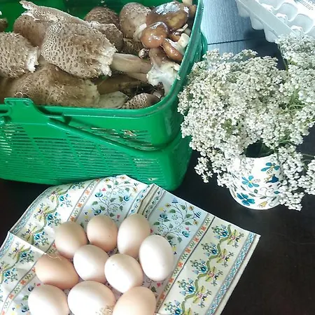 Vakantieboerderij Piotr *