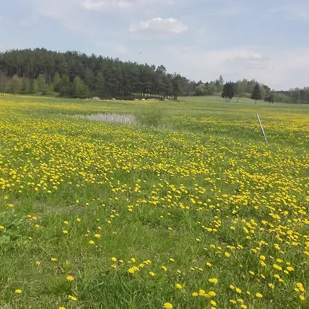 Piotr Gospodarstwo agroturystyczne Sominy