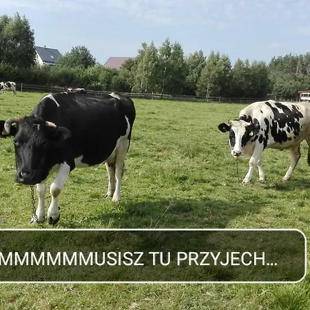 Piotr * Sominy